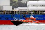 ID 4594 AKARANA - Ports of Aucklands' new pilot launch introduced in early 2008. The second pilot launch at the port to bear the name, she is currently supported by the older twin-hulled pilot launch...